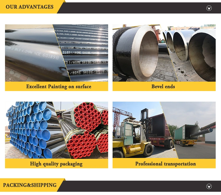 ASTM A53/A106/ API 5L Gr. B Sch40/Sch80 Seamless Carbon Steel Pipe